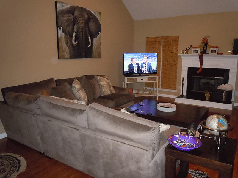 Livingroom Photo 1
