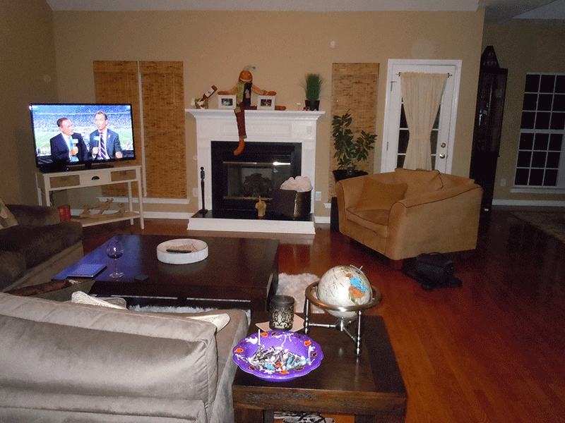 Livingroom Photo 2
